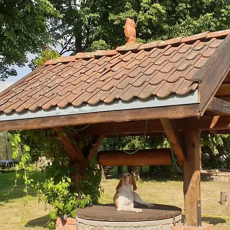 别墅 Pasieka I Dom Mazurski Macze